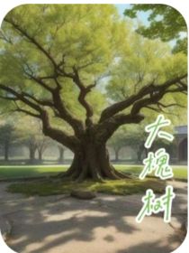 大槐树bigpagodatrees
