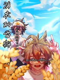 消失的雷狮