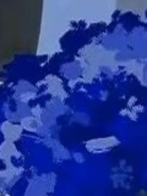 幻想的日记