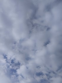 遐淺