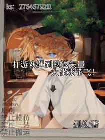 打游戲遇到隱退矢量