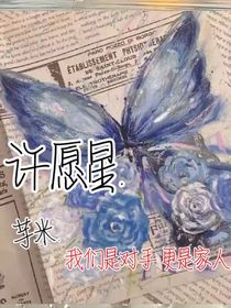 许愿星……