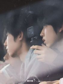 TF家族四代：糖送四大家