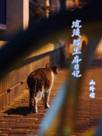 流浪猫求生日记