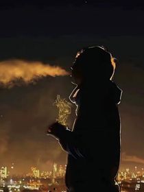 淮晟