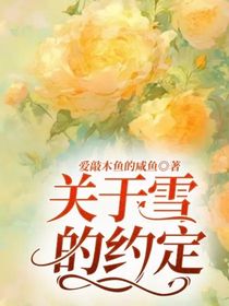 关于雪的约定