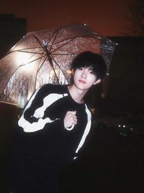 all苏：金丝雀