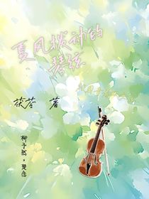 夏风拨动的琴弦