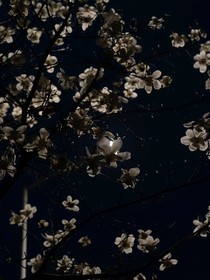 快穿：我是反派大boss