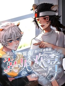 翼见喜你，再见倾心