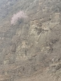 死亡或是新生