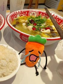 没有理想的理想主义者