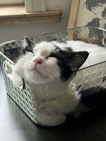 我死在了那個(gè)春天