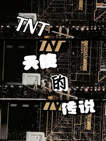 TNT：天使的传说