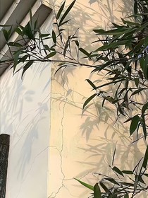 副本：洛卿之約