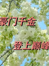 豪门千金……登上巅峰