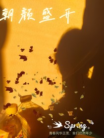 朝颜盛开