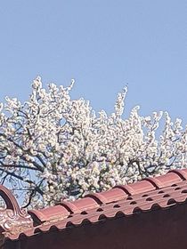 冷遇……