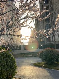 我可不当白月光