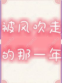 被風(fēng)吹走的那一年