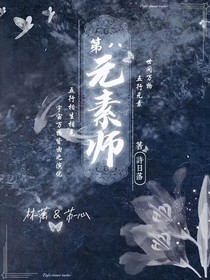第八元素师