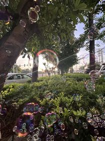 恋与夏……