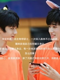 文轩之我的作品