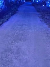 谪夙岚江