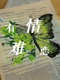有情难恋