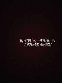 瓢虫雷迪：黑猫诺尔的情话（合集）