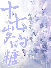 十七岁的糖