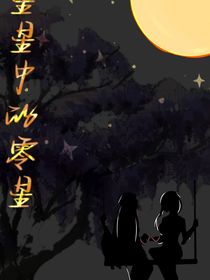 星星中的零星