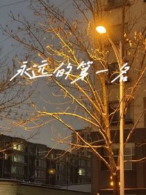 永遠的第一名