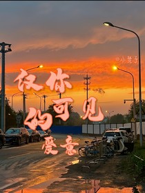 張子墨：僅你可見的愛意