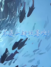 秦霄贤：不是一般的喜欢你！