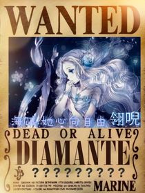 海贼：她心向自由