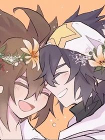 星星的花海