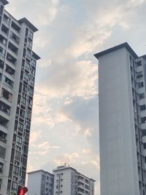 海棠之时