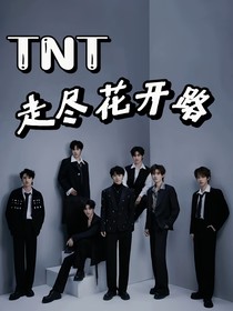 TNT：走尽花开路