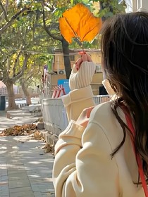 逝去的白玫瑰