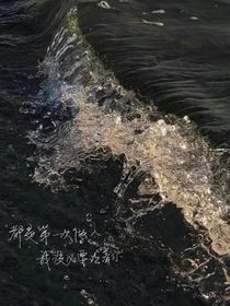 梦笔生雪