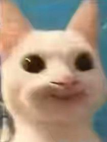 任务？不存在的