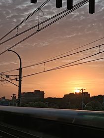 感情又逢落雨天