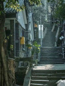 绣球花里的他