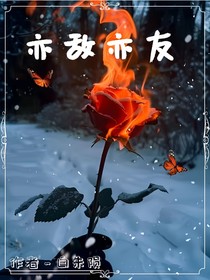 亦敌亦友（陨儿）