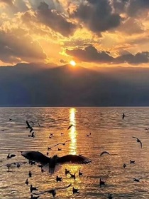 明暗阴阳