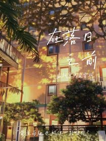 在日落之前……7