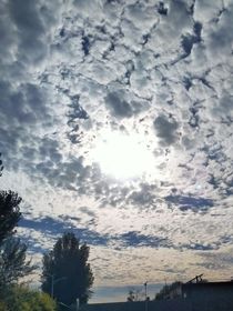 我向往广阔的天空