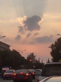 玫瑰罗曼史