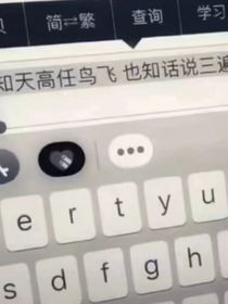 鸢情客